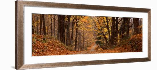 Forest Road Pittsfield Ma-null-Framed Photographic Print