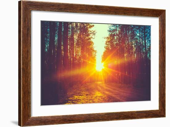 Forest Road under Sunset Sunbeams. Lane Running through the Autumn Deciduous Forest at Dawn or Sunr-Grisha Bruev-Framed Photographic Print