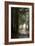 Forest Road-Lance Kuehne-Framed Photographic Print