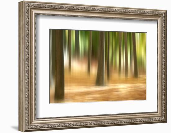 Forest Run III-James McLoughlin-Framed Photographic Print