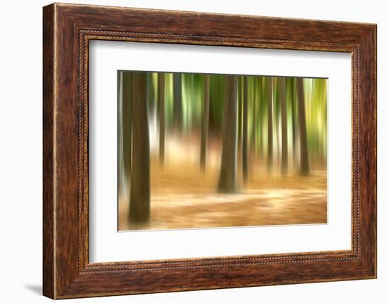 Forest Run III-James McLoughlin-Framed Photographic Print