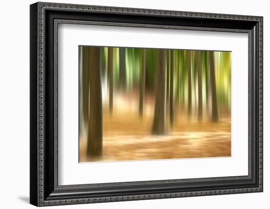 Forest Run III-James McLoughlin-Framed Photographic Print