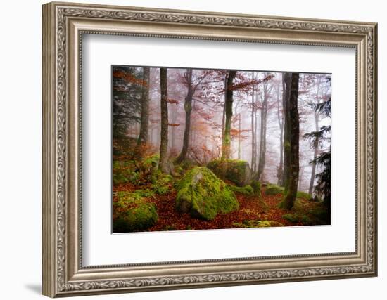 Forest Sanctuary-Philippe Sainte-Laudy-Framed Photographic Print