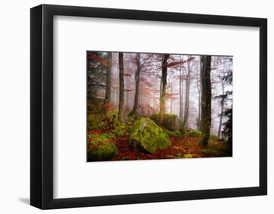 Forest Sanctuary-Philippe Sainte-Laudy-Framed Photographic Print