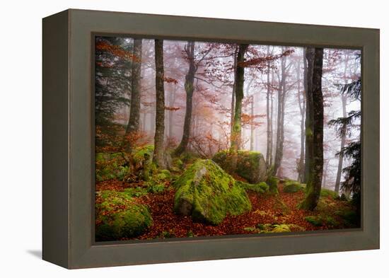 Forest Sanctuary-Philippe Sainte-Laudy-Framed Premier Image Canvas