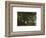 Forest Scene from Soro, Denmark-Carl Frederic Aagaard-Framed Premium Giclee Print