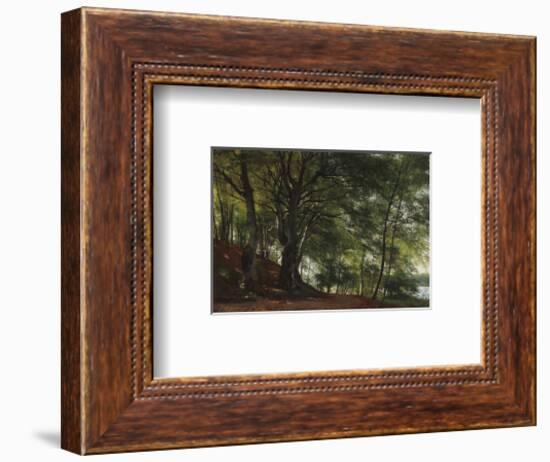 Forest Scene from Soro, Denmark-Carl Frederic Aagaard-Framed Premium Giclee Print