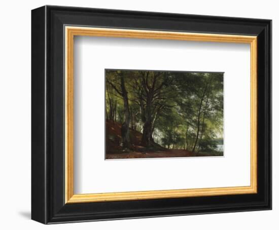 Forest Scene from Soro, Denmark-Carl Frederic Aagaard-Framed Premium Giclee Print