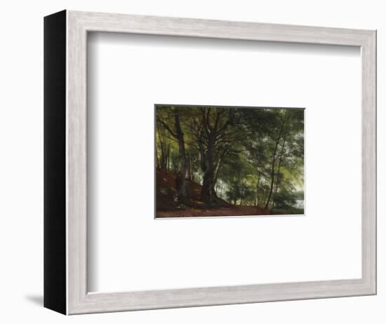 Forest Scene from Soro, Denmark-Carl Frederic Aagaard-Framed Premium Giclee Print