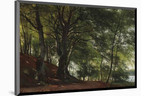 Forest Scene from Soro, Denmark-Carl Frederic Aagaard-Mounted Premium Giclee Print