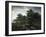 Forest Scene-Jacob Isaacksz Van Ruisdael-Framed Art Print