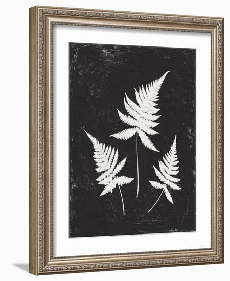 Forest Shadows IV Black Crop-Moira Hershey-Framed Art Print