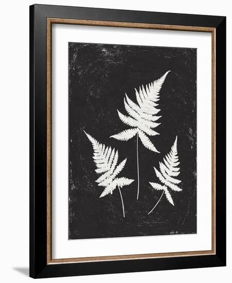 Forest Shadows IV Black Crop-Moira Hershey-Framed Art Print