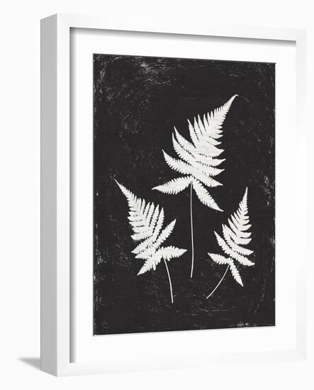 Forest Shadows IV Black Crop-Moira Hershey-Framed Art Print