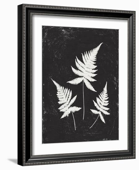 Forest Shadows IV Black Crop-Moira Hershey-Framed Art Print