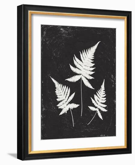 Forest Shadows IV Black Crop-Moira Hershey-Framed Art Print