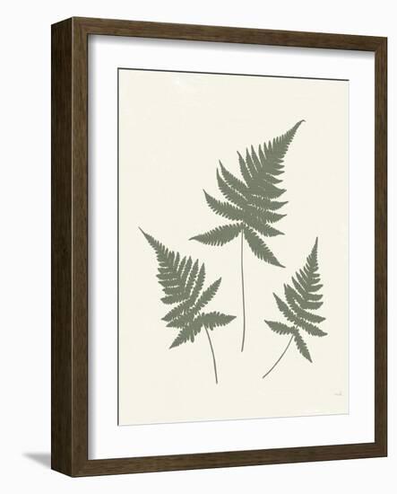 Forest Shadows IV Green on Cream Crop-Moira Hershey-Framed Art Print