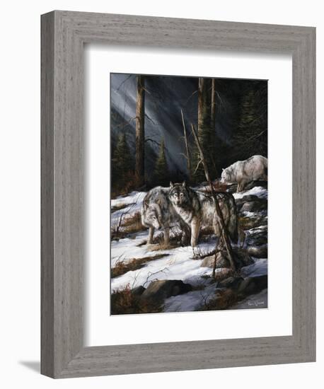 Forest Shadows-Trevor V. Swanson-Framed Premium Giclee Print