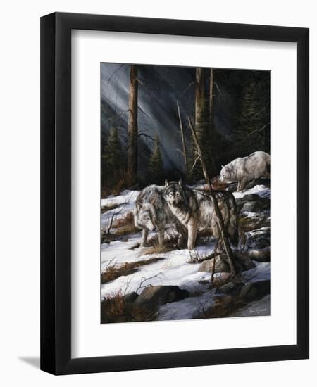 Forest Shadows-Trevor V. Swanson-Framed Premium Giclee Print