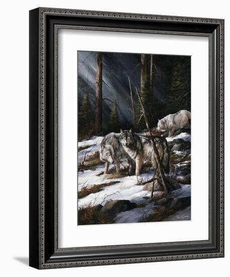 Forest Shadows-Trevor V. Swanson-Framed Premium Giclee Print