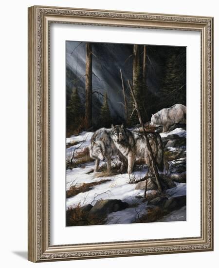 Forest Shadows-Trevor V. Swanson-Framed Giclee Print