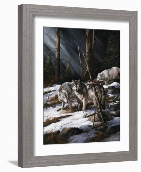 Forest Shadows-Trevor V. Swanson-Framed Giclee Print