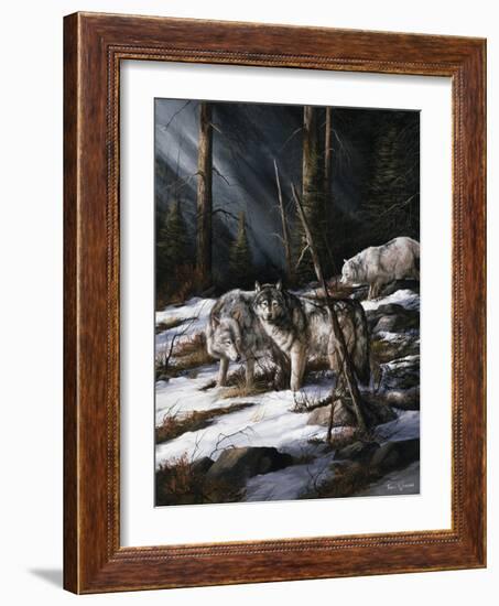 Forest Shadows-Trevor V. Swanson-Framed Giclee Print