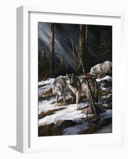 Forest Shadows-Trevor V. Swanson-Framed Giclee Print