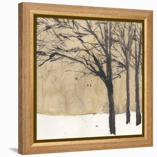 Forest Sketch II-Samuel Dixon-Framed Stretched Canvas