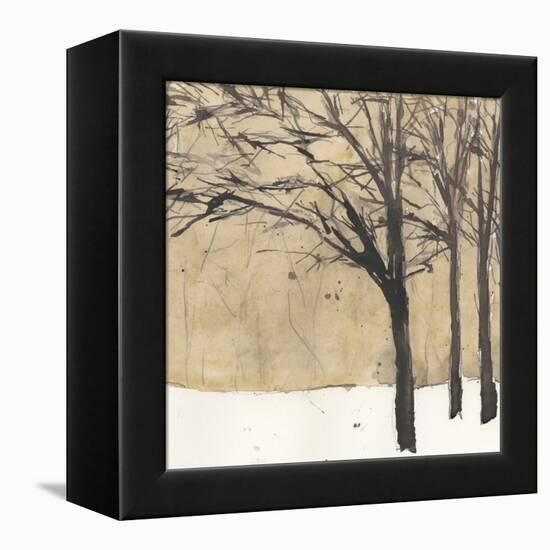 Forest Sketch II-Samuel Dixon-Framed Stretched Canvas