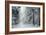 Forest Snow-David Baker-Framed Photographic Print