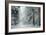 Forest Snow-David Baker-Framed Photographic Print