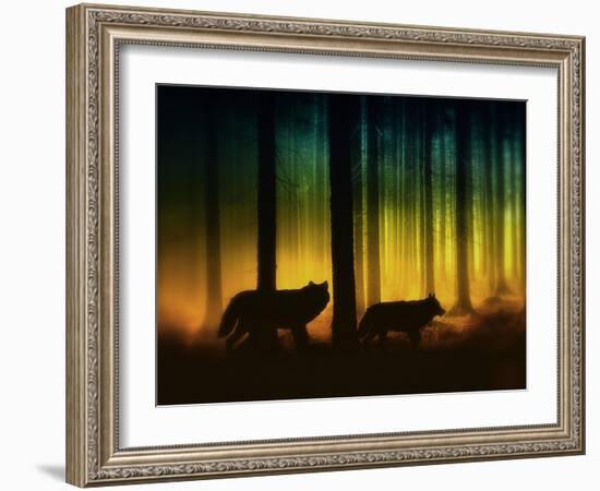 Forest Spirits-Julie Fain-Framed Art Print