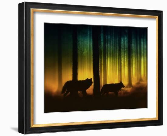 Forest Spirits-Julie Fain-Framed Art Print
