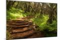 Premium Photographic Print