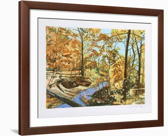 Forest Stream 7-John Healy-Framed Collectable Print