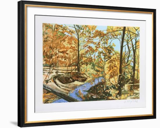 Forest Stream 7-John Healy-Framed Collectable Print