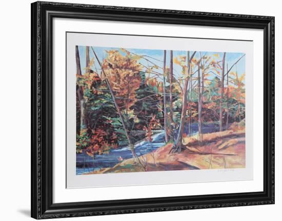 Forest Stream-John Healy-Framed Collectable Print