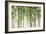 Forest Study I Crop-Lisa Audit-Framed Premium Giclee Print