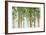 Forest Study I Crop-Lisa Audit-Framed Art Print