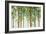 Forest Study I Crop-Lisa Audit-Framed Art Print