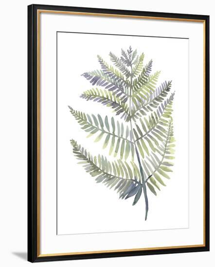 Forest Study I-Sandra Jacobs-Framed Giclee Print