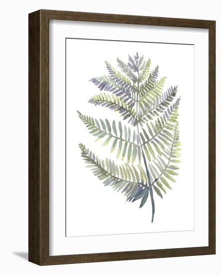 Forest Study I-Sandra Jacobs-Framed Giclee Print