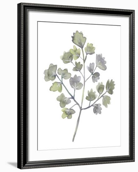 Forest Study II-Sandra Jacobs-Framed Giclee Print