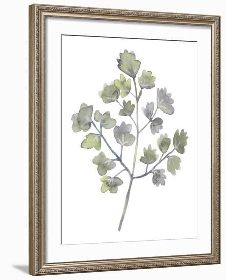 Forest Study II-Sandra Jacobs-Framed Giclee Print