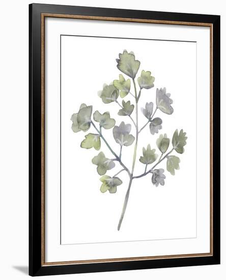 Forest Study II-Sandra Jacobs-Framed Giclee Print