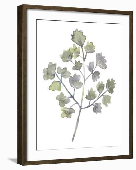 Forest Study II-Sandra Jacobs-Framed Giclee Print