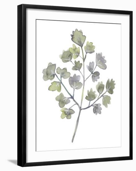 Forest Study II-Sandra Jacobs-Framed Giclee Print
