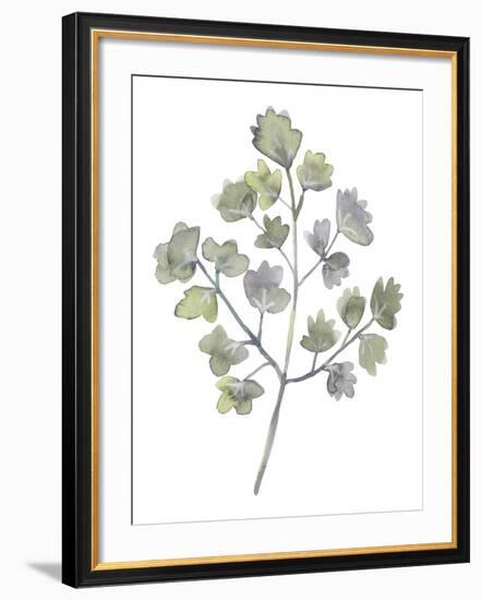 Forest Study II-Sandra Jacobs-Framed Giclee Print