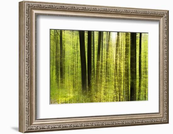 Forest Study with Motion Blur and Digital Image Processing, Deciduous Forest in the Spring-Andreas Vitting-Framed Photographic Print